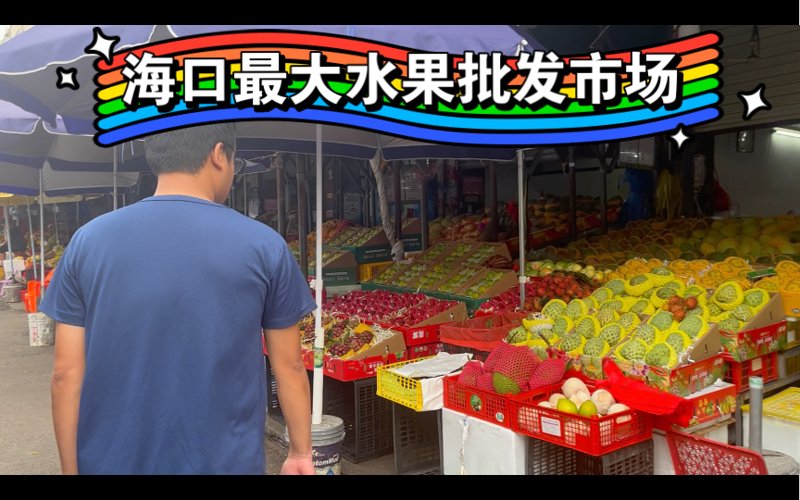 文具用品批发行业：市场动态与变革趋势